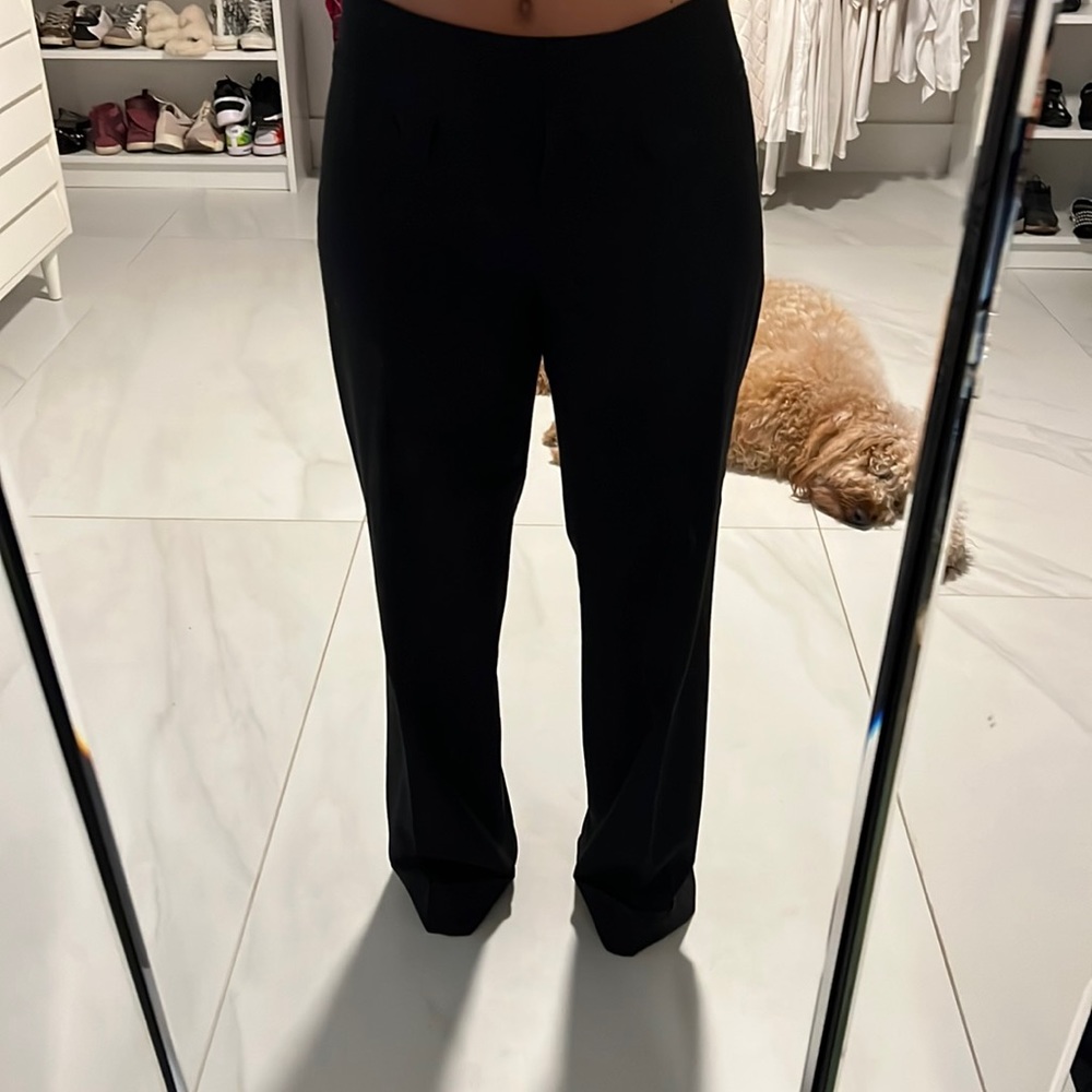 Ann Taylor dress pants